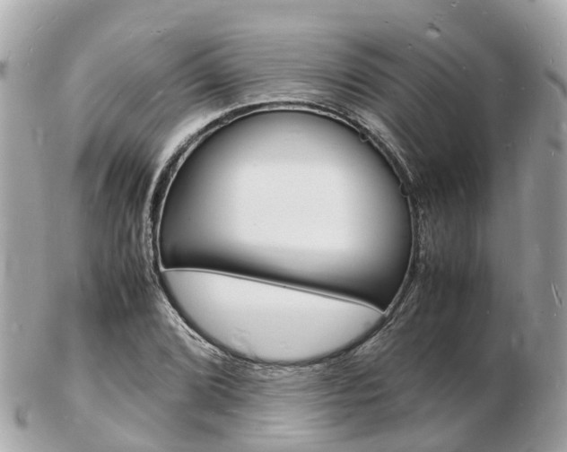 X0000103291072200808291103