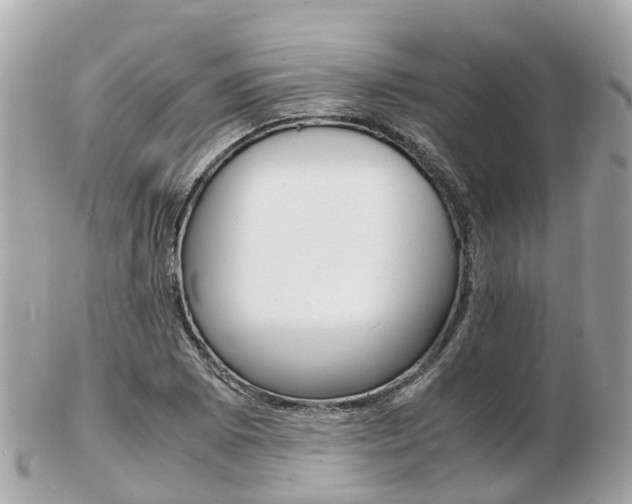 X0000103291073200808291103