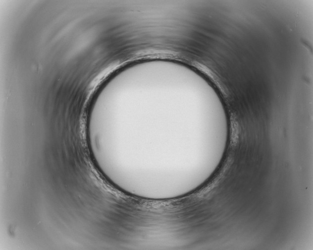 X0000103291074200808291103