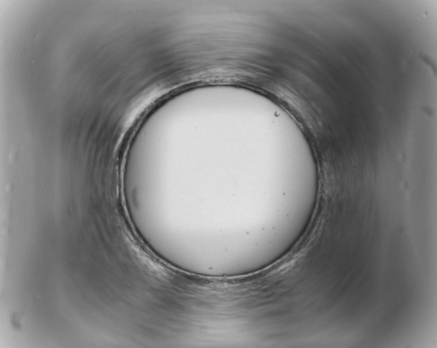 X0000103291075200808291103