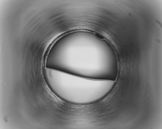 X0000103291076200808291103