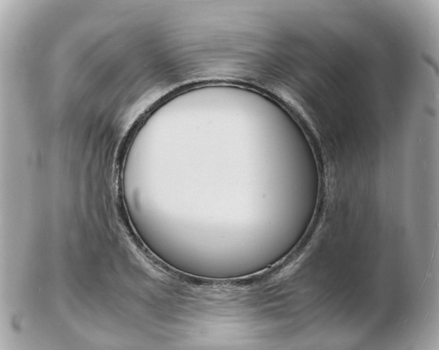 X0000103291077200808291103