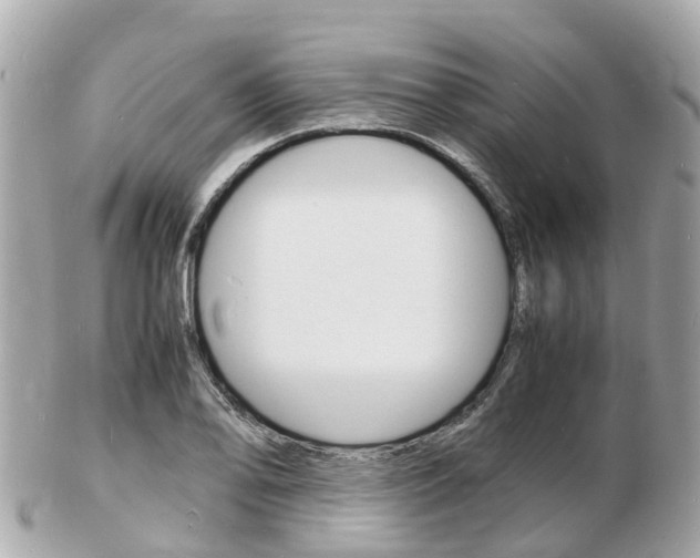 X0000103291078200808291103