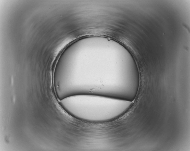 X0000103291079200808291103
