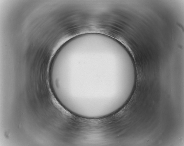 X0000103291080200808291103