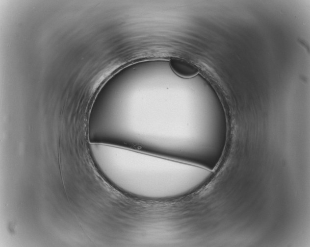 X0000103291081200808291103