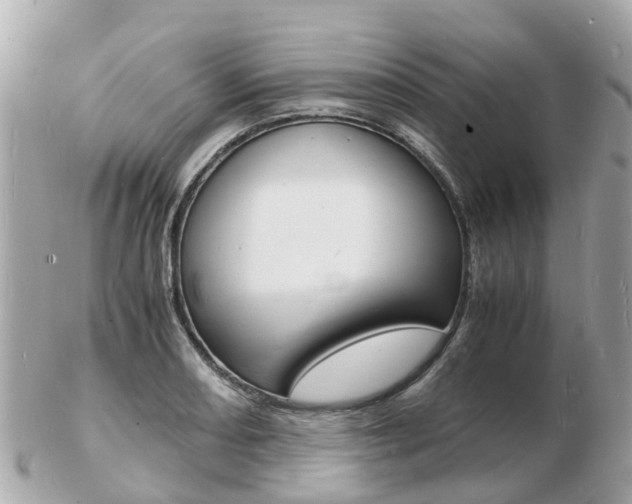 X0000103291082200808291103