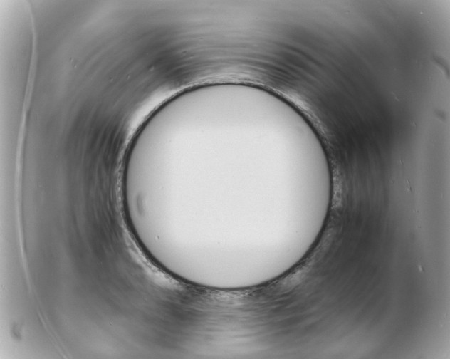 X0000103291086200808291103