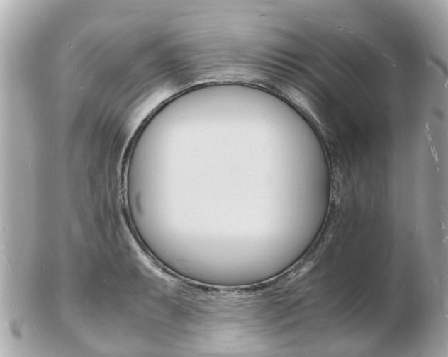 X0000103291087200808291103