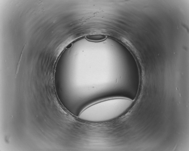 X0000103291089200808291103