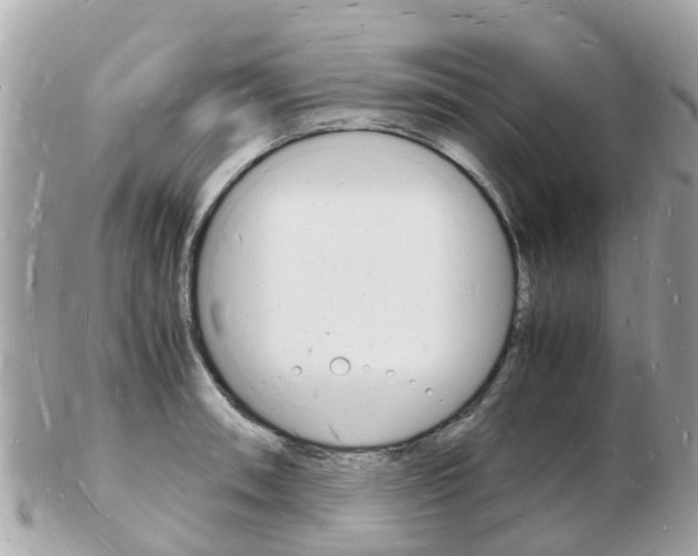 X0000103291090200808291103
