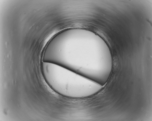 X0000103291091200808291102
