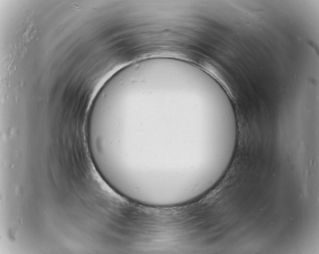 X0000103291092200808291102