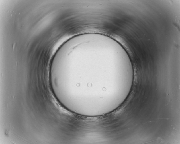 X0000103291094200808291102