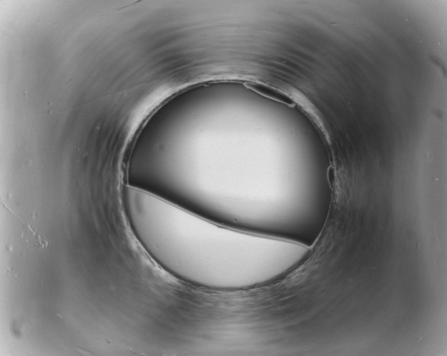X0000103291096200808291102