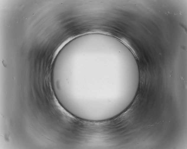 X0000103291100200808291102