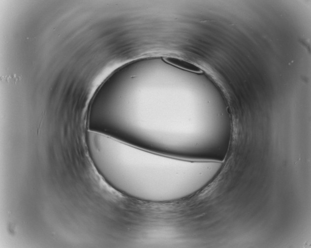 X0000103291102200808291102