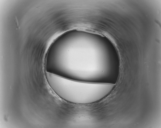 X0000103291104200808291102
