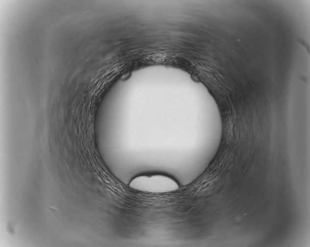 X0000103291105200808291102
