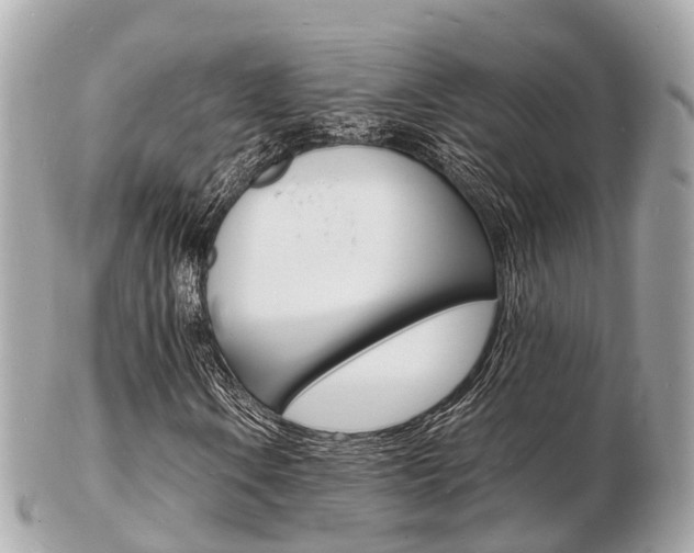 X0000103291106200808291102