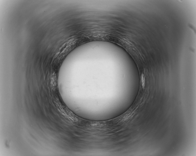 X0000103291107200808291102