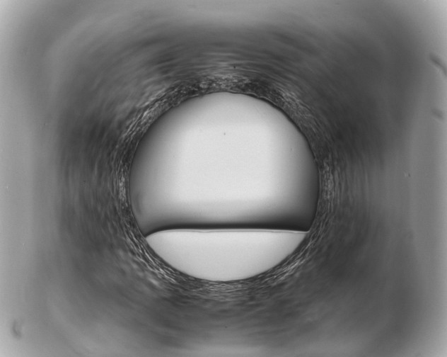 X0000103291109200808291102
