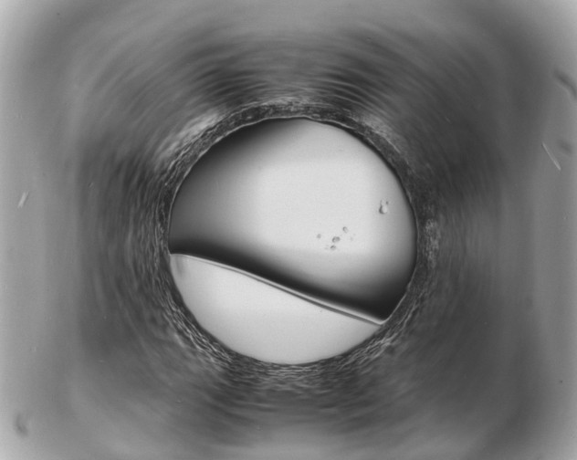 X0000103291111200808291102
