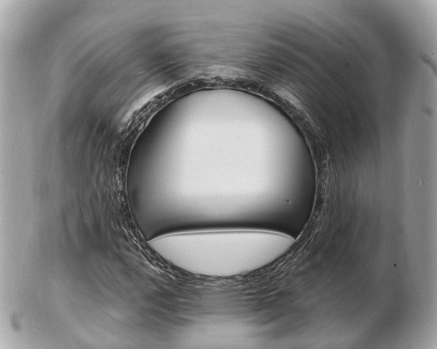 X0000103291112200808291102