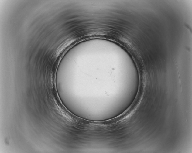 X0000103291113200808291102