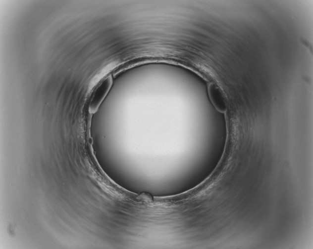 X0000103291114200808291102