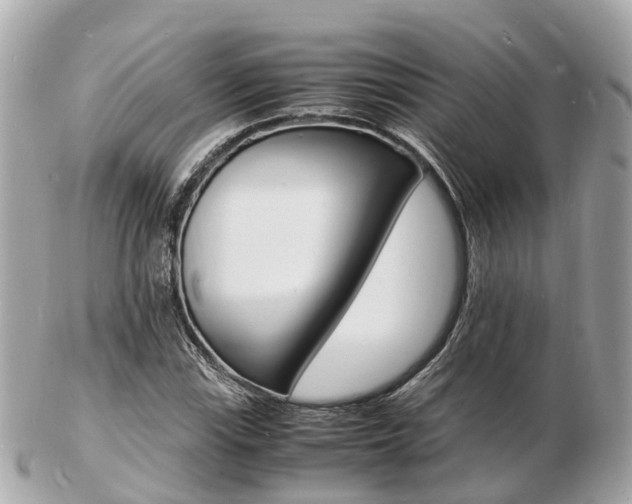 X0000103291115200808291102