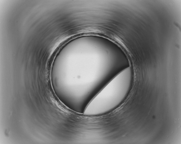 X0000103291116200808291102
