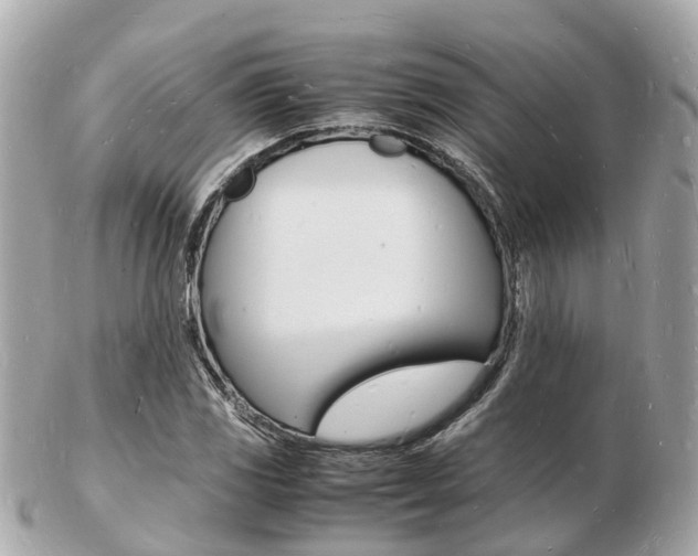 X0000103291117200808291102