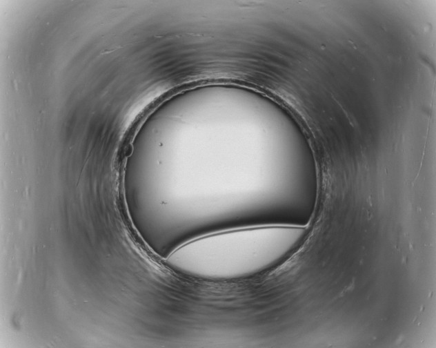 X0000103291119200808291102