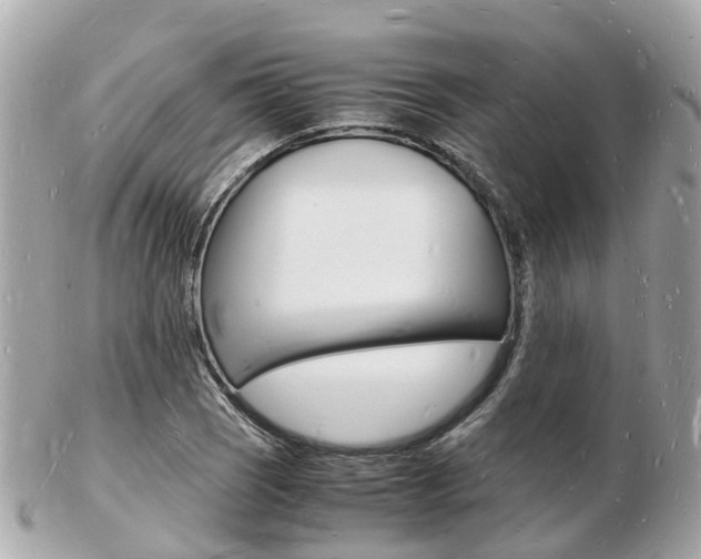 X0000103291121200808291102