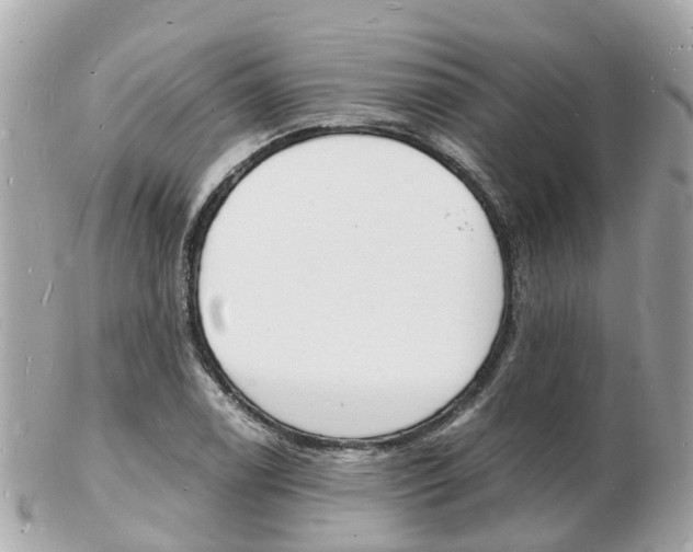 X0000103291122200808291102