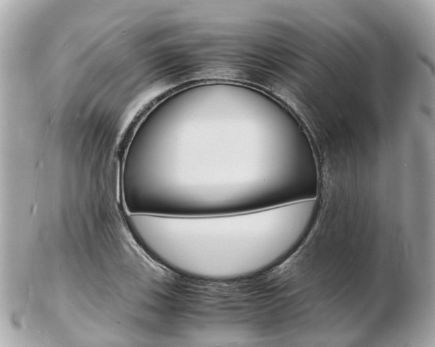 X0000103291123200808291102