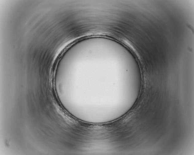 X0000103291124200808291102
