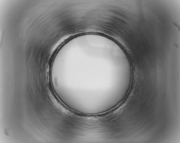 X0000103291126200808291102