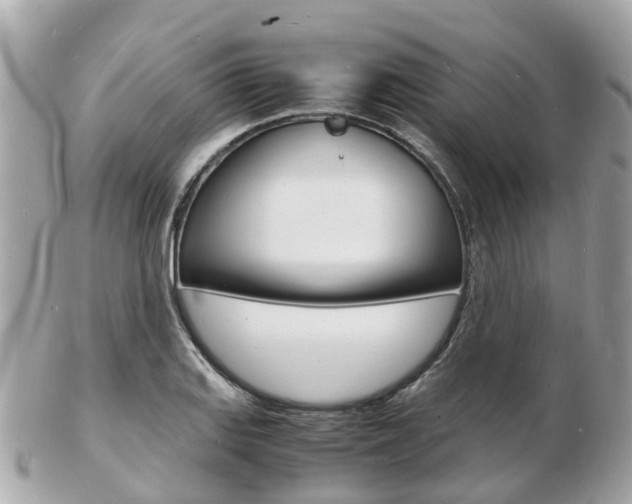 X0000103291127200808291102