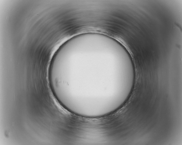 X0000103291128200808291102