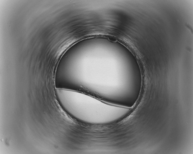 X0000103291129200808291102