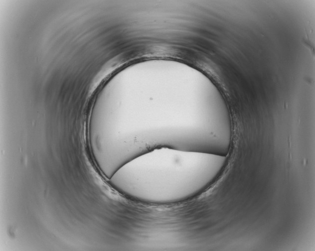X0000103291130200808291102