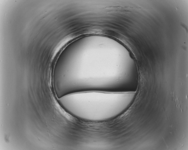 X0000103291131200808291102