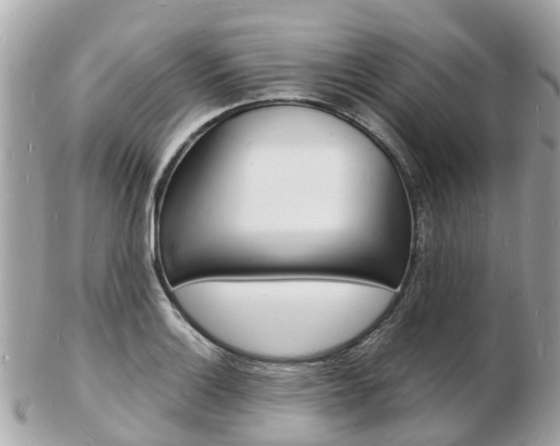 X0000103291132200808291102