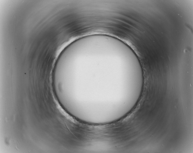 X0000103291134200808291102