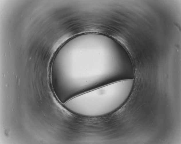 X0000103291135200808291102