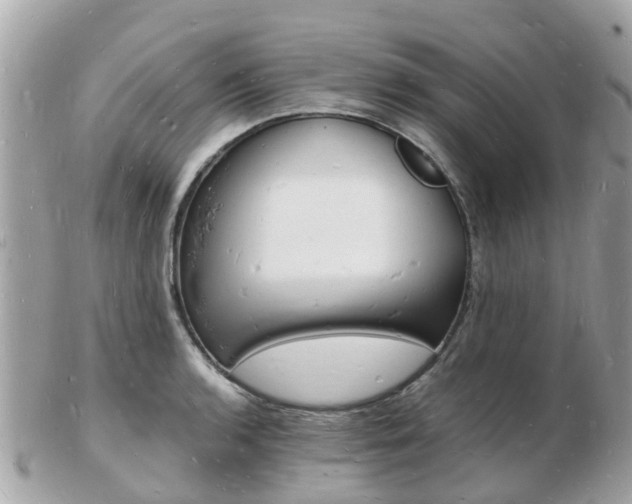 X0000103291136200808291102