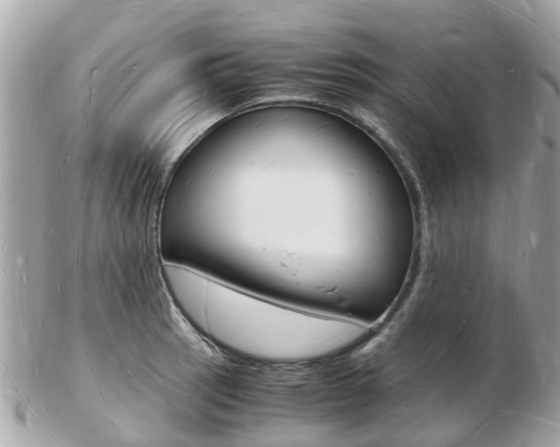 X0000103291137200808291102