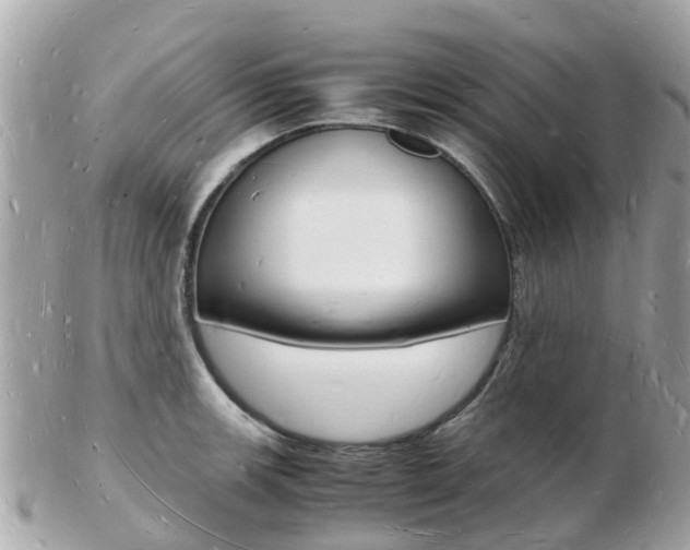 X0000103291139200808291102